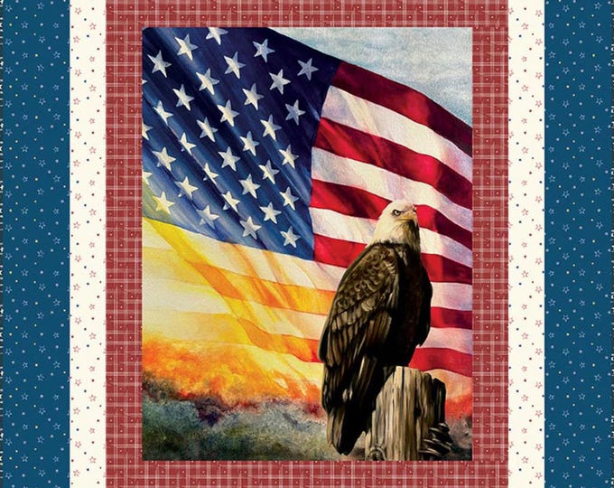 American Honor - Eagle Panel  *Boxed Quilt Kit* From: Riley Blake Designs  KT-17090