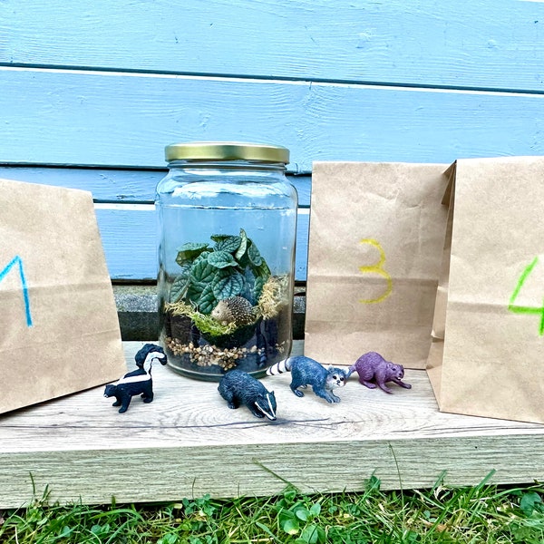 Flaschengarten 1700 ml Glas Waldtiere Kindergeburtstag Geschenk für Jungen und Mädchen ab 5 Jahre Förderung Wahrnehmung DIY Projekt