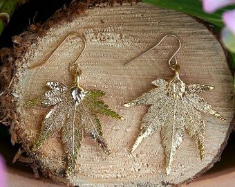 Japanese Maple Gold Plated Leaf Earrings