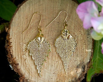 Birch Gold Plated Leaf Earrings