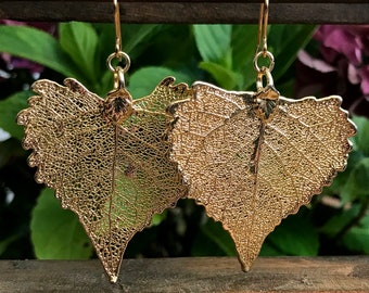 Cottonwood Gold Plated Leaf Earrings