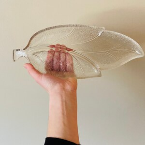 May include: A clear glass leaf-shaped serving dish with a textured surface.