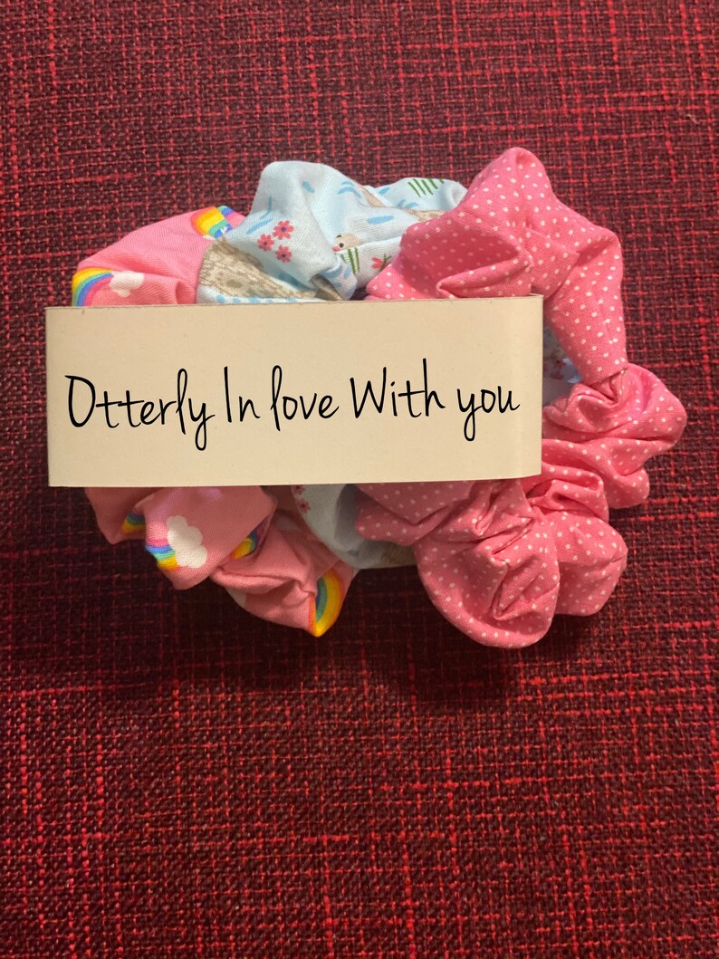 gift set Valentines Otters and rainbows scrunchie bunch set custom message gift,oversized scrunchie pack scrunchie bundle