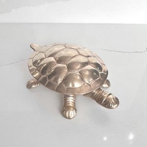 Puede incluir: Figura de tortuga de color plateado con un patrón de caparazón detallado y cuatro patas. La figura es de metal y tiene una superficie lisa y reflectante. La tortuga es un objeto decorativo.
