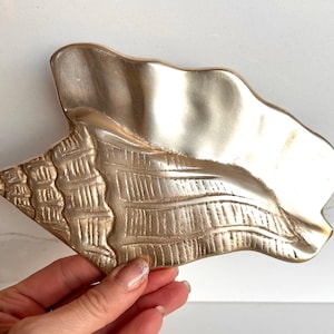 Peut inclure: Un objet décoratif en forme de coquillage de couleur dorée. Le coquillage présente des crêtes détaillées et une surface lisse et réfléchissante. L'objet est probablement en métal et est conçu à des fins décoratives.