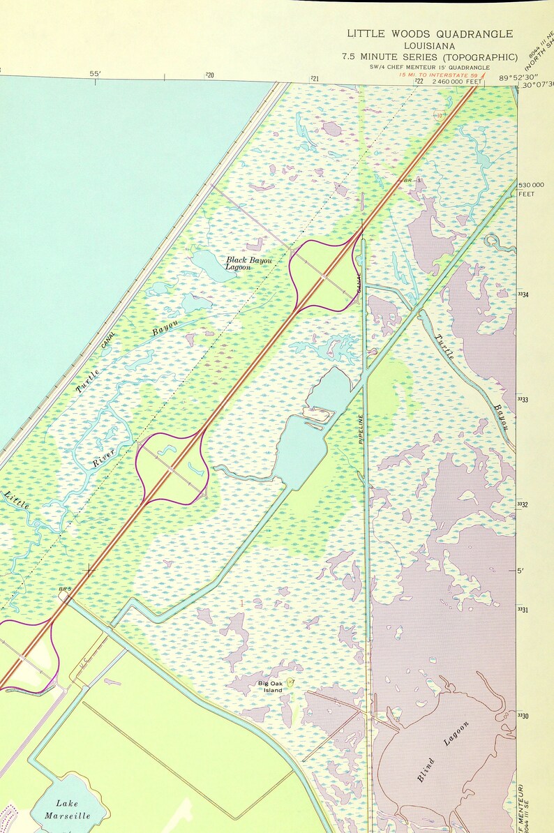 Little Woods Map of New Orleans Louisiana Art Print Wall Decor Etsy