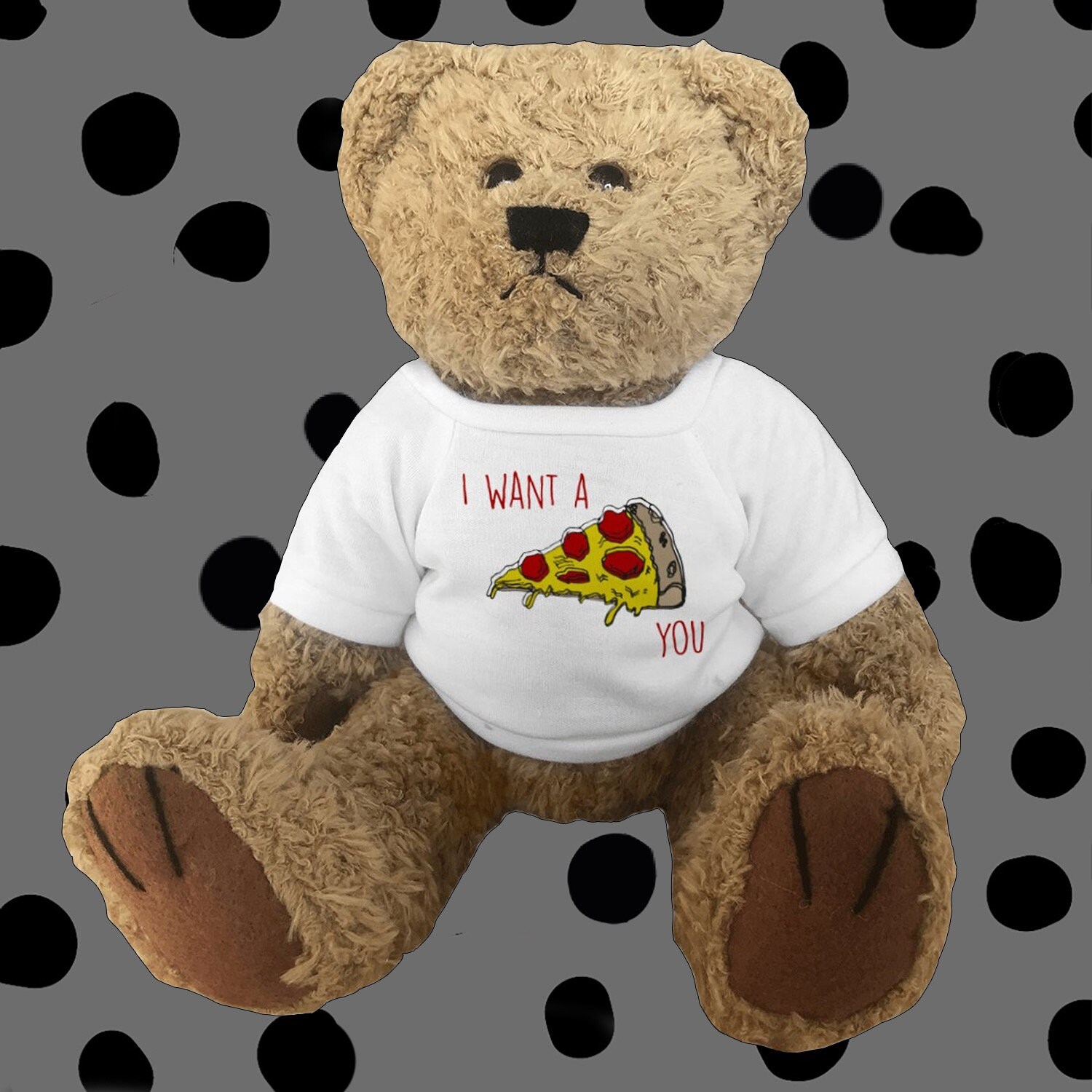 i want a teddy bear