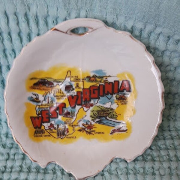 Souvenir Va Plate Etsy