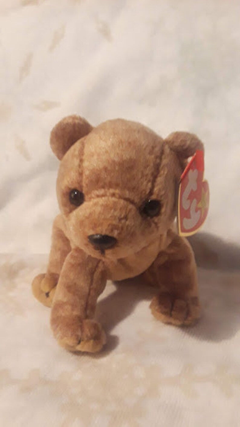 Ty Beanie Baby Pecan bear 1999 | Etsy