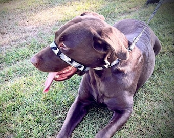 No Pull Dog Head Collar & Training Lead | Stops Pulling Instantly | Gentle Safety Halter for Walking | Adjustable Easy Fit Harness