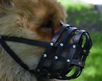 Leather dog Muzzle Chow Chow & Other similar snouts