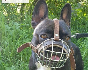 basket muzzle for french bulldog
