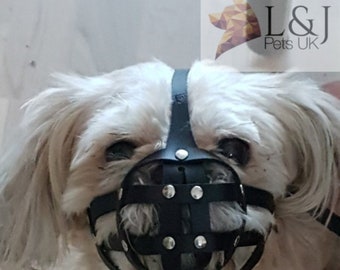 Leather Dog Muzzle for Shih Tzu and other flat face faced short snout dog's Champion