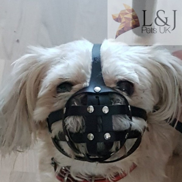 Leather Dog Muzzle for Shih Tzu and other flat face faced short snout dog's Champion