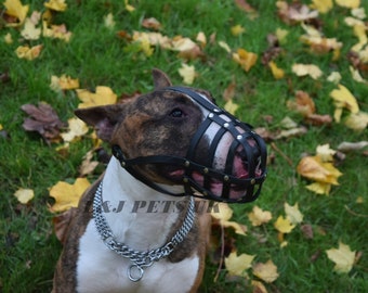 extra small muzzle for chihuahua