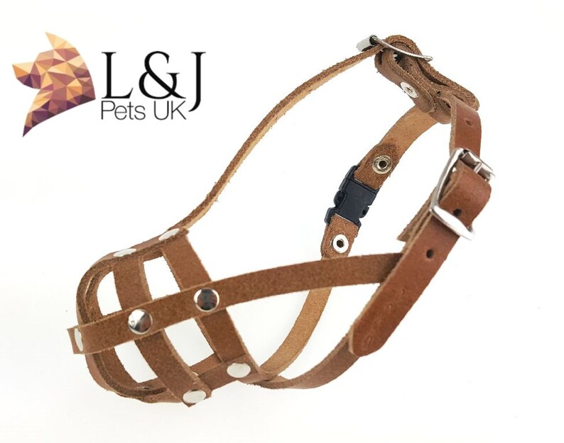 Light leather Dog Muzzle for Chihuahua Yorkshire Terrier Mini Etsy