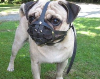 Leather Dog Muzzle for Pug and other flat face faced short snout dog's Champion