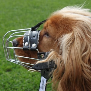 New Metal STRONG Wire Basket Dog Muzzle for  Spaniel 3 - 3X and other