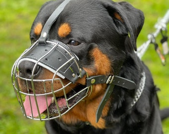 Strong Metal Wire Basket Dog Muzzle for Rottweiler, Mastiff & other