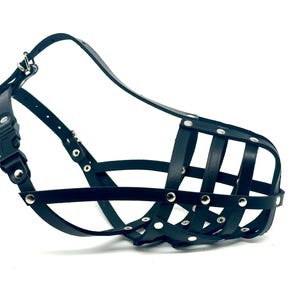 Light Leather dog Muzzle Collie & Other similar dogs