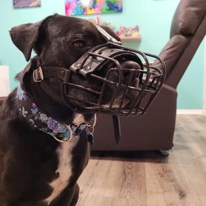 Strong Metal Wire Basket Dog Muzzle Amstaff Pit Bull