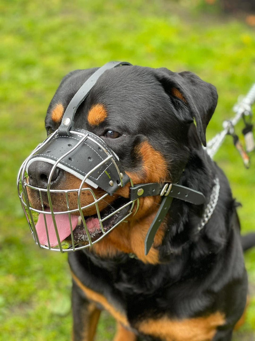 Buy Strong Metal Wire Basket Dog Muzzle for Rottweiler, Mastiff