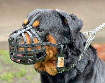 Bozal de cuero para perros rottweiler, mastín y otros hocicos similares