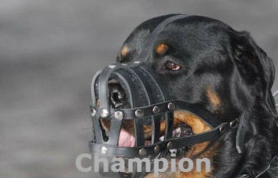 dog muzzle for rottweiler