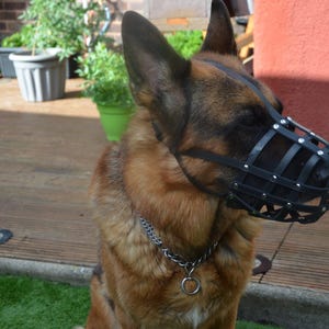 Leather Dog Muzzle German Shepherd and Other Similar Snout