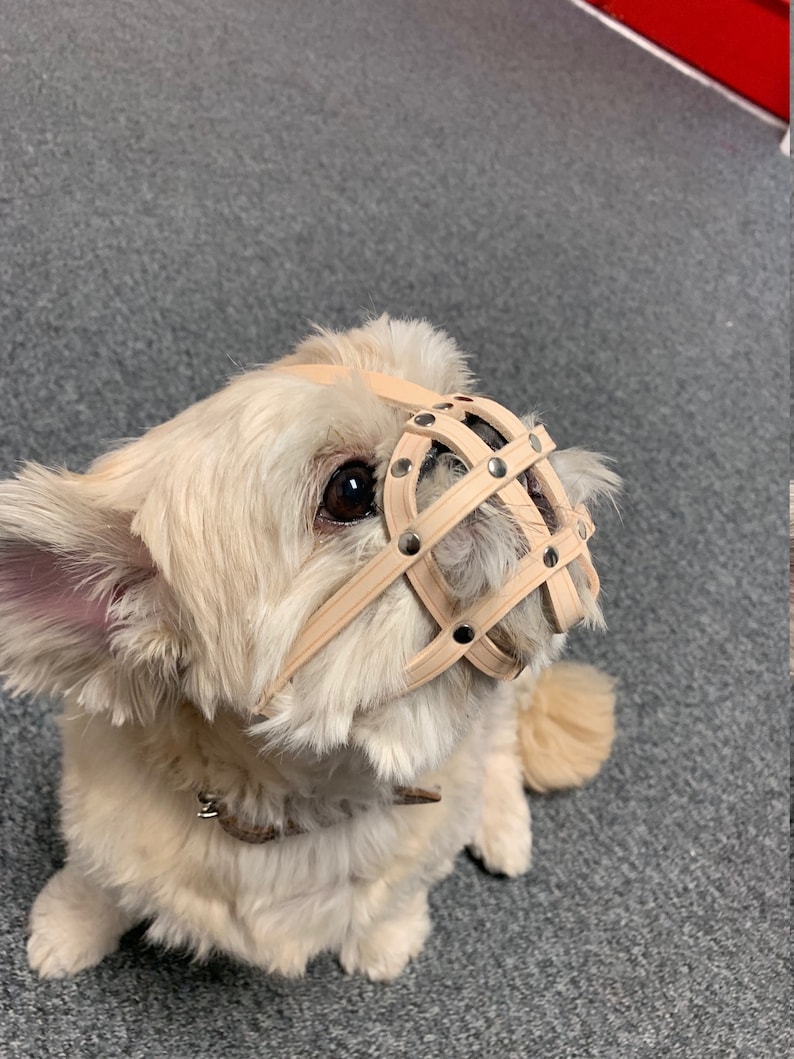 Leather Dog Muzzle for Shih Tzu and Other Flat Face Faced Etsy Canada