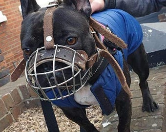 Best Basket Muzzle for French Bulldog Basket Muzzle for