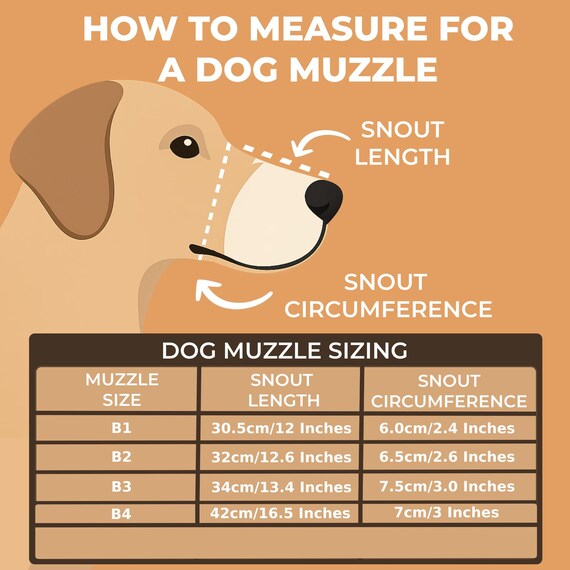 How to Size a Dog Muzzle: Expert Tips for Perfect Fit