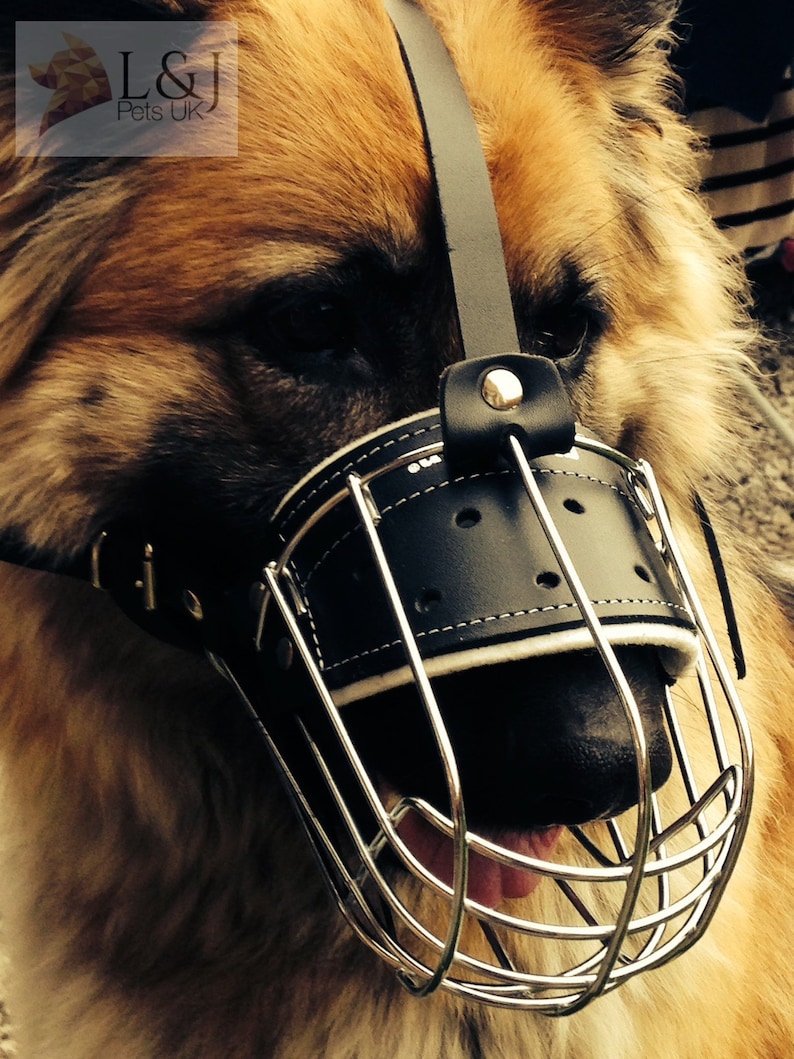 Strong Metal Wire Basket Dog Muzzle for Shepherd Labrador Etsy UK