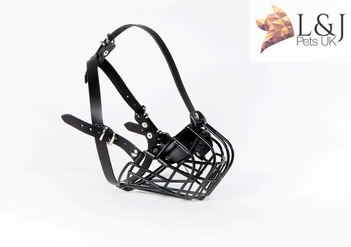 Basket muzzle for french bulldog Clearance