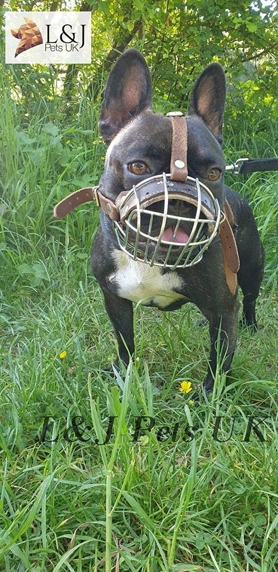 basket muzzle canada
