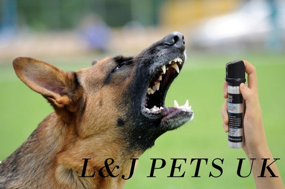 simparica chewables flea and tick