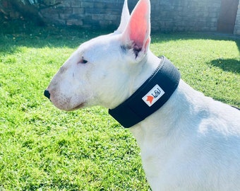 Collar impermeable para perros / Adiestramiento y comportamiento / Resistente, ancho (5 cm), diseño impermeable / Perfecto para perros grandes y XL