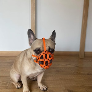 Dog Muzzle for French Bulldog &quot;Frenchies&quot; a Other similar snouts short snout