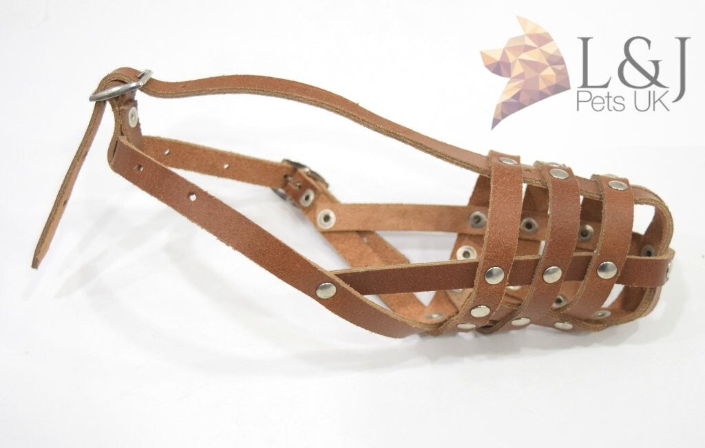 Leather Dog Muzzle for Jack Russell and Other Similar Dogs Etsy Canada