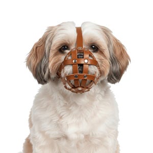 Bozal de cuero para perros Pug y otros perros de cara plana y hocico corto Champion