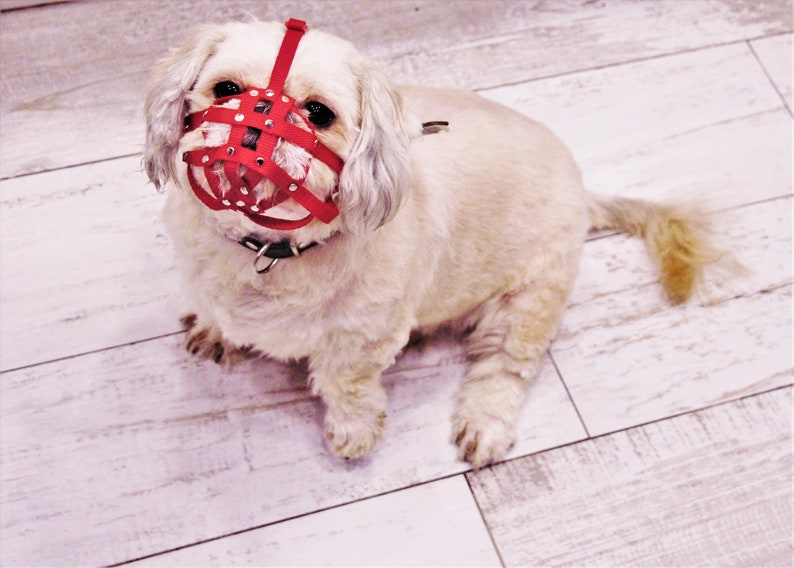 Dog Muzzle for Shih Tzu and Other Flat Face Faced Short Snout Etsy