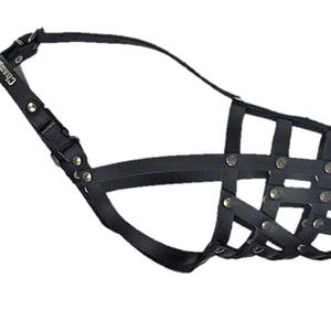 Light Leather dog Muzzle Collie & Other similar dogs
