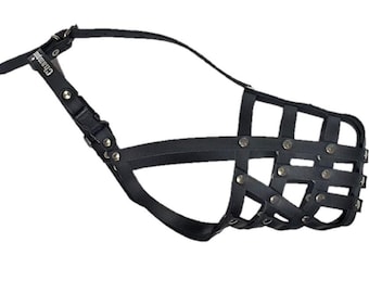 Light Leather dog Muzzle Collie & Other similar dogs
