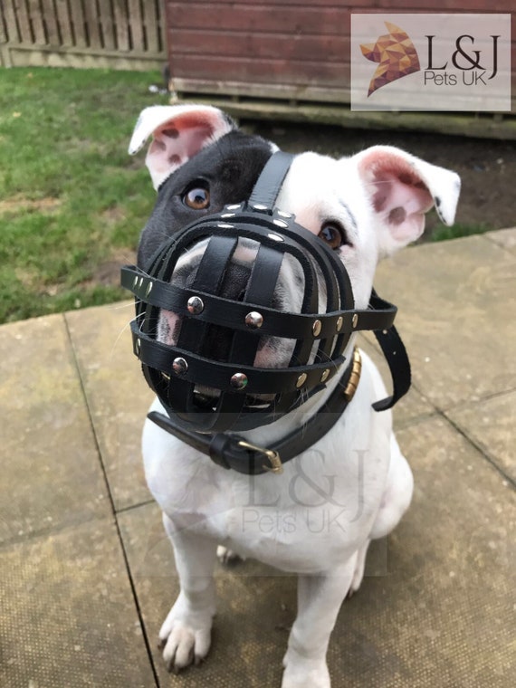 soft muzzle for staffy