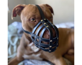 Leather dog muzzle Pit Bull and Other similar snouts