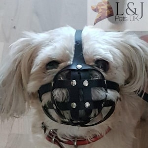 Puede incluir: Un perro blanco con un bozal de cuero negro con remaches metálicos. El bozal tiene un diseño de jaula de alambre.