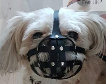 Leather Dog Muzzle for Shih Tzu and other flat face faced short snout dog's Champion