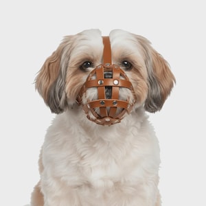 Puede incluir: Un bozal para perro de cuero color canela con un diseño de jaula tipo cesta y remaches metálicos plateados en cada intersección. El bozal se asegura con una correa vertical sobre el hocico de un perro de pelo largo color blanco y canela.