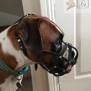 Maulkorb aus Leder für Boxer und Andere Hunde mit kurzer Schnauze