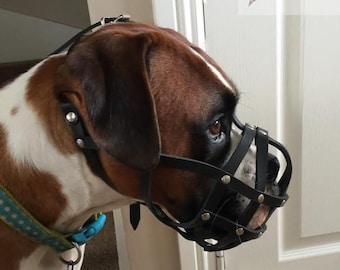 Leather Dog Muzzle for Boxer and Other dogs with short snout